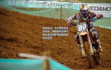 体彩投注：周六德甲天王山对决，斯图加特主场不败纪录迎战霍芬海姆欧冠抢分征程