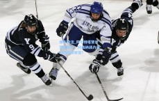 体彩投注_阿尔特塔赞誉哲凯赖什，阿森纳战力是否因他而蜕变？