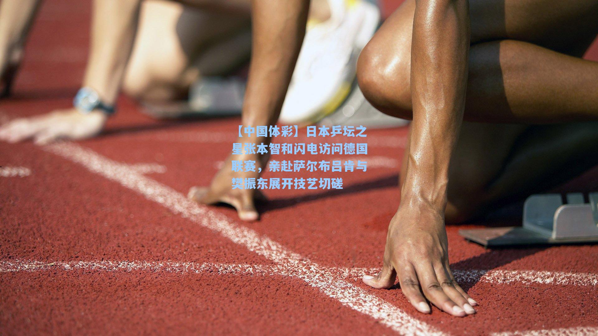 日本乒坛之星张本智和闪电访问德国联赛,亲赴萨尔布吕肯与樊振东展开技艺切磋