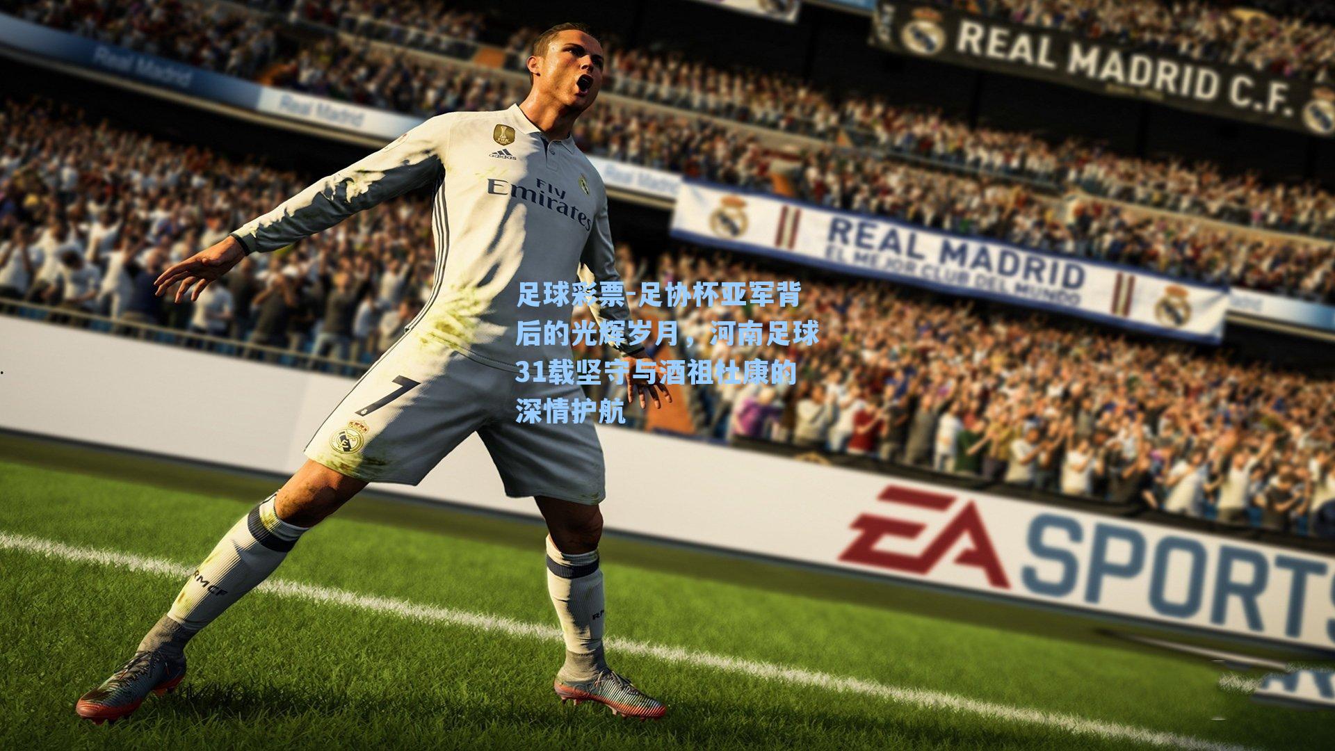 足协杯亚军背后的光辉岁月，河南足球31载坚守与酒祖杜康的深情护航