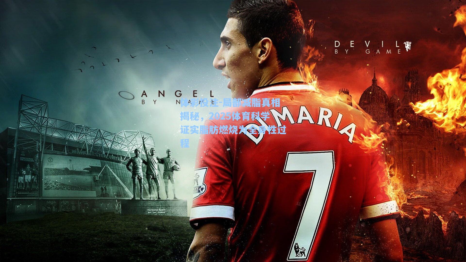 局部减脂真相揭秘，2025体育科学证实脂肪燃烧为全身性过程